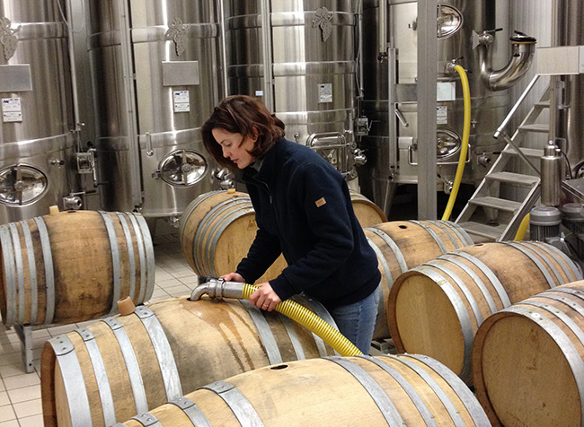 La vinification naturelle et traditionnelle du champagne